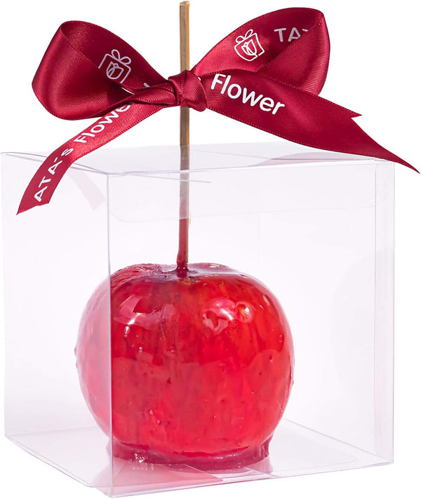 Candy Apple Boxes 20-Pack - Clear Food-Grade Favor Boxes for Treats 4x 4x 4