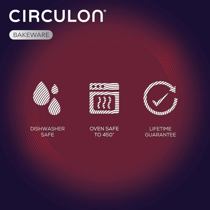 Circulon 17 Inch Nonstick Roasting Pan with Rack - Gray