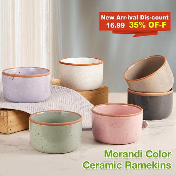 Morandi Color Ramekins Set of 6 6 oz Porcelain Ramekins for Baking and Serving Desserts Oven Safe