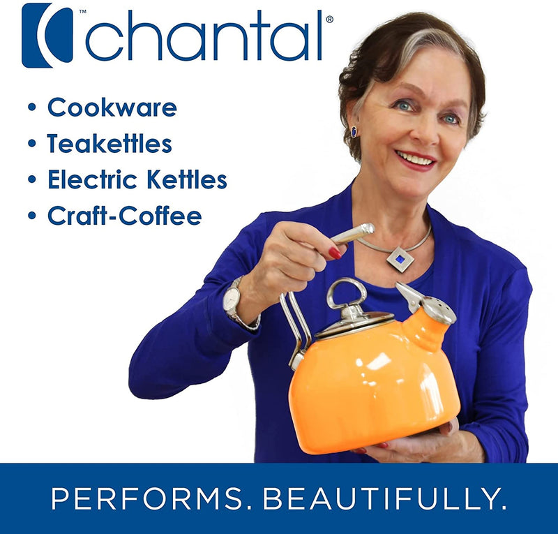 Chantal Tea Kettle, Vintage Series, Enamel on Steel, Whistling (Fade Grey)