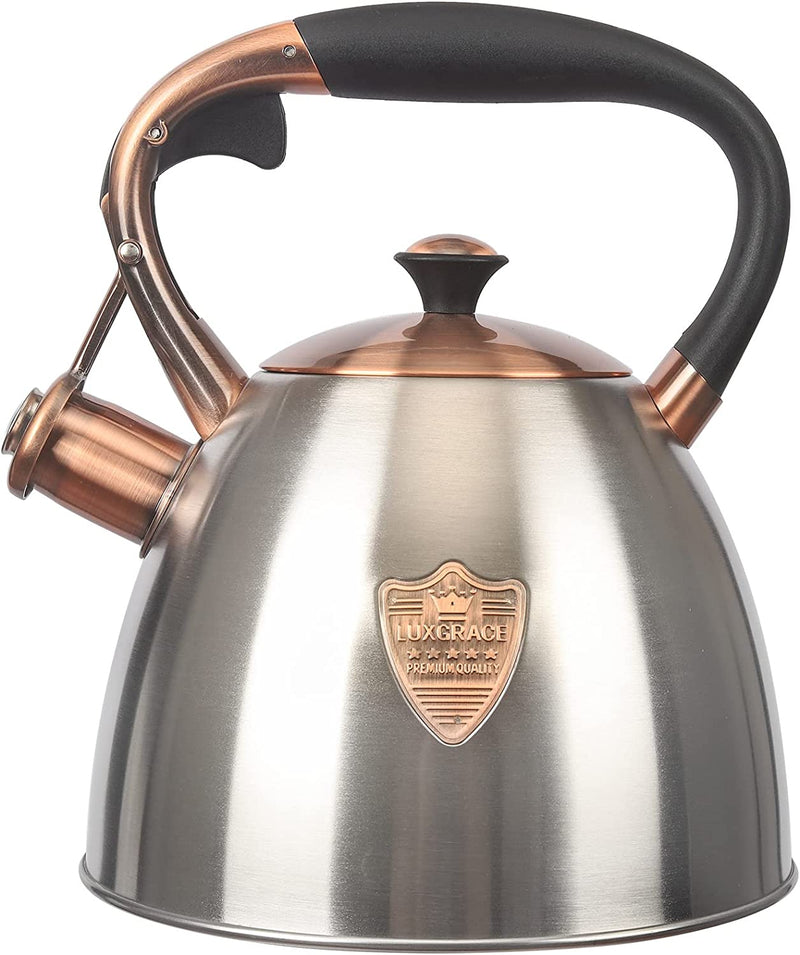 Tea Kettle -2.9 Quart Tea Kettles Stovetop Whistling Teapot Stainless Steel Tea Pots for Stove Top Whistle Tea Pot (Silver-Go)