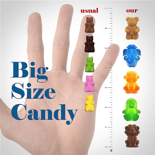Large BPA-Free Gummy Bear Mold Set with Animals Droppers and Silicone Candy Molds