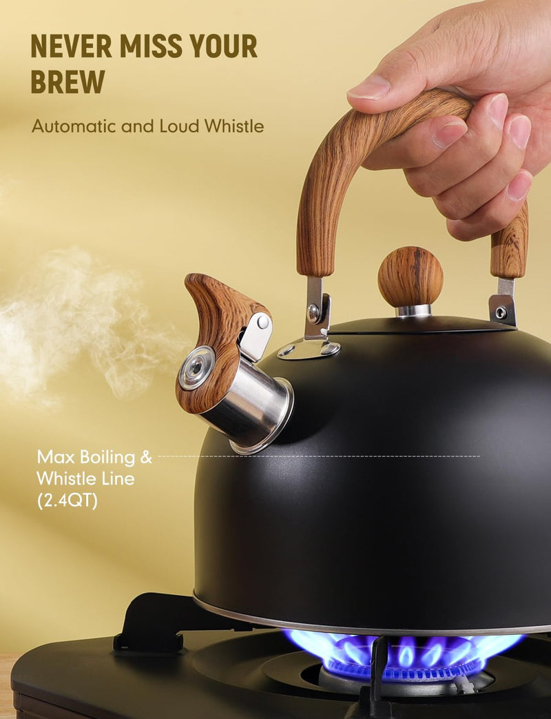 VARLEAS Whistling Tea Kettle for Stovetop, Surgical-Grade Stainless Steel Tea pot Kettles with Stay-Cool Ergonomic Handle, 2.6 Quart Rapid Boiling Teapot for Home Kitchen - Matte Black