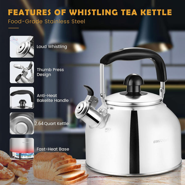 Tea Kettle Stovetop, Whistling Tea Kettle Pots for Stove Top, 2.64 QT Food Grade Stainless Steel Teakettle Teapot with Cool Grip Folding Handle, Hot Water boiler for Tea, Milk, Coffee