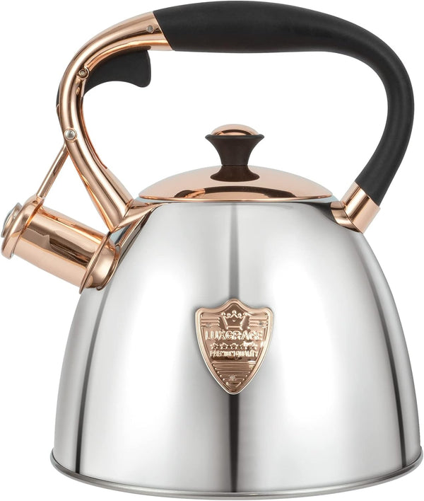 Tea Kettle -2.9 Quart Tea Kettles Stovetop Whistling Teapot Stainless Steel Tea Pots for Stove Top Whistle Tea Pot (Silver-Go)