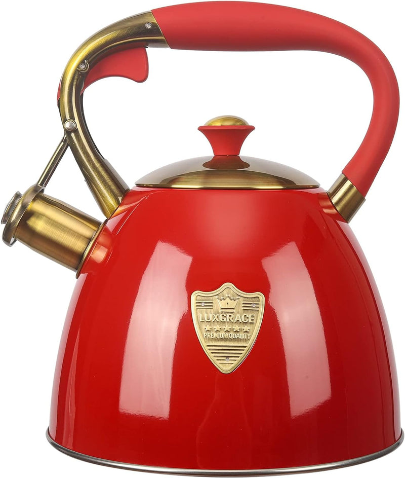 Tea Kettle -2.9 Quart Tea Kettles Stovetop Whistling Teapot Stainless Steel Tea Pots for Stove Top Whistle Tea Pot (Silver-Go)