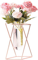 Glass Flower Vase with Metal Stand Modern Geometry Desktop Glass Planter Indoor Hydroponics Plants for Home Office Garden Wedding Decor (Rose Gold, M)