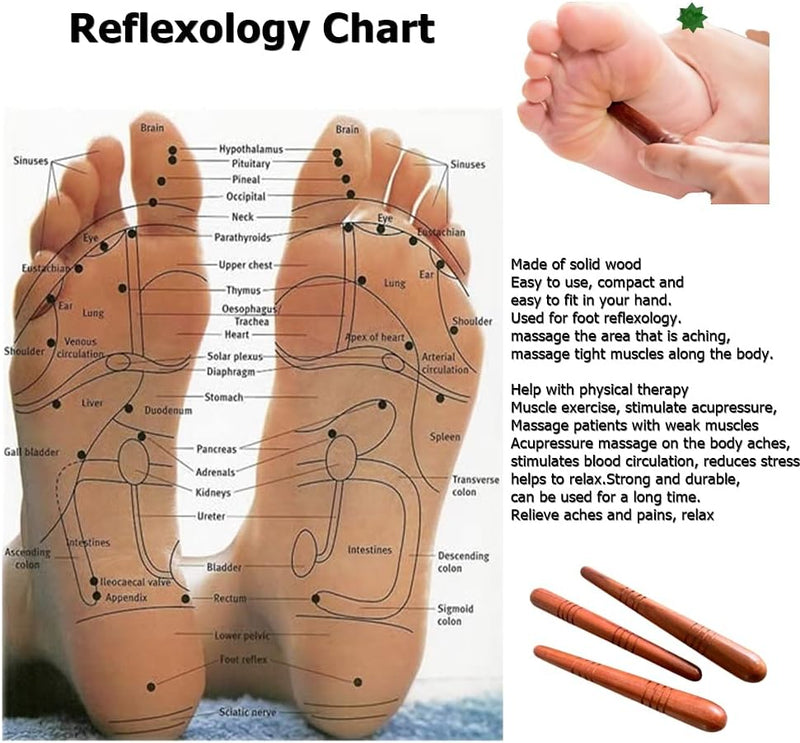 KanJA Reflexology Foot Hand Massage Wooden Stick Tools Wood Health Therapy Traditional Tool Thai Massage Body Foot Hand Face Neck Back Waist Pain Relief Travel Home,Brown,15 cm Length