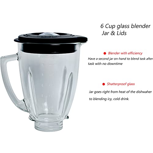 6 Cup Glass Jar Replacement for Oster and Osterizer Blender - With Ice Blade and Accessory Kit