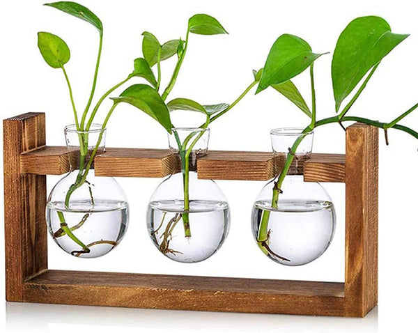 Glass Terrarium Planter with Wooden Stand - 3 Bulb Vase for Indoor Garden and Home Decor