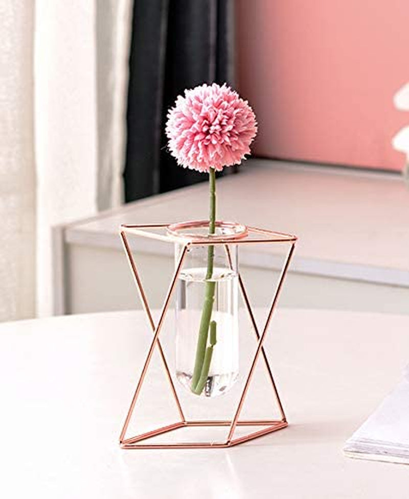 Glass Flower Vase with Metal Stand Modern Geometry Desktop Glass Planter Indoor Hydroponics Plants for Home Office Garden Wedding Decor (Rose Gold, M)