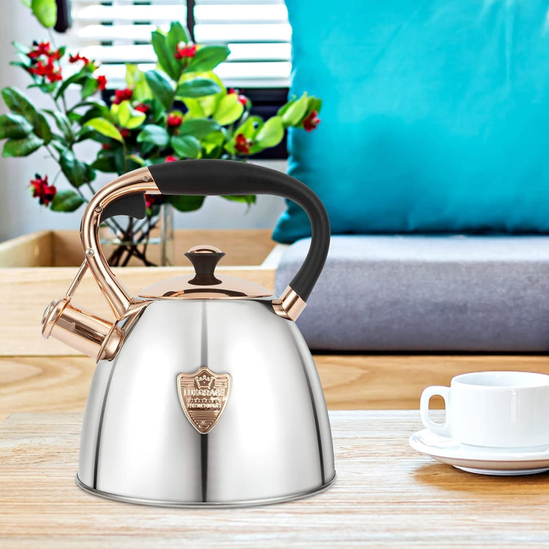 Tea Kettle -2.9 Quart Tea Kettles Stovetop Whistling Teapot Stainless Steel Tea Pots for Stove Top Whistle Tea Pot (Silver-Go)